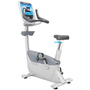 Commercial Upright Bike